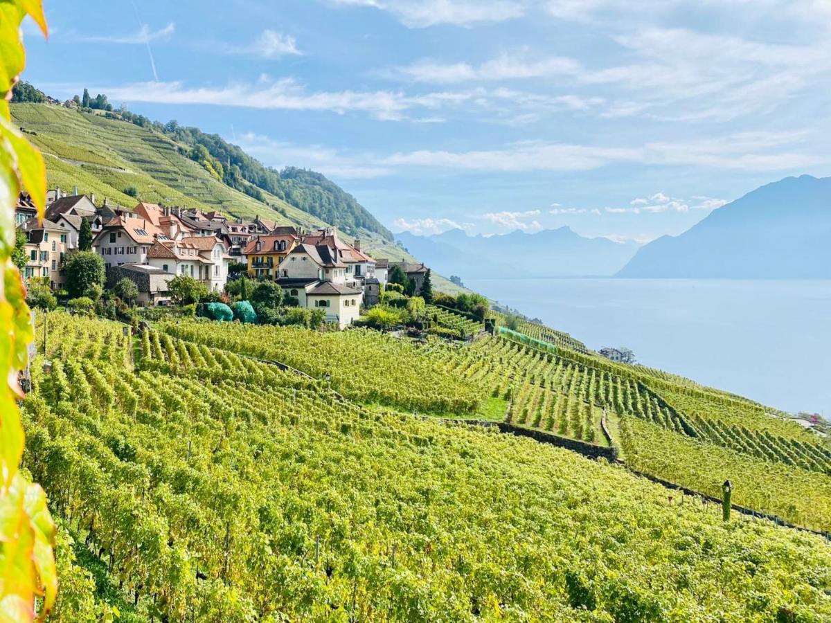 Montreux Holiday Home Dış mekan fotoğraf