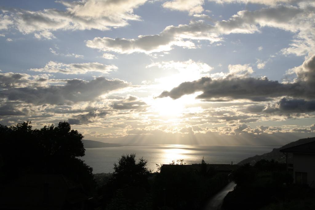 Montreux Holiday Home Dış mekan fotoğraf
