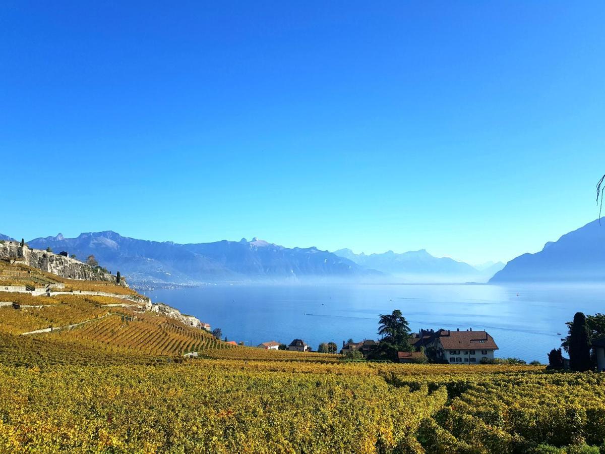 Montreux Holiday Home Dış mekan fotoğraf